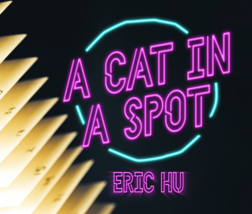 (image for) Eric Hu - A Cat in a Spot